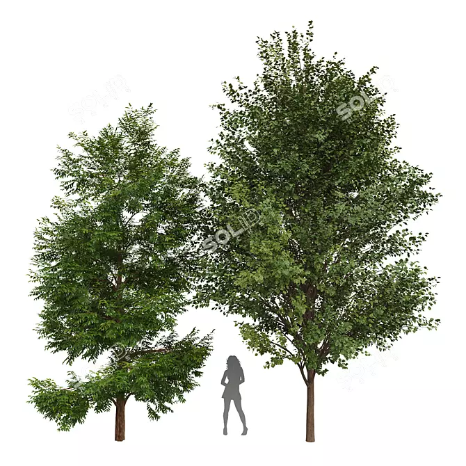 Diverse 3D Tree Models Set 3D model image 1