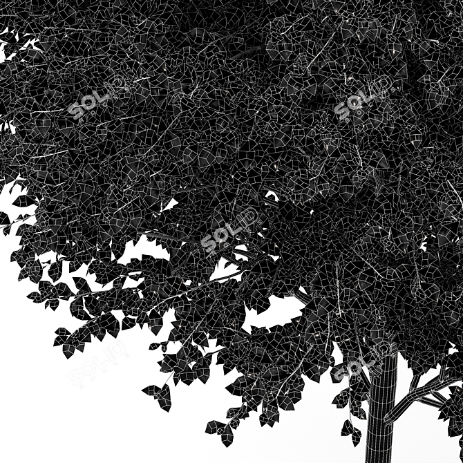 Diverse 3D Tree Models Set 3D model image 6