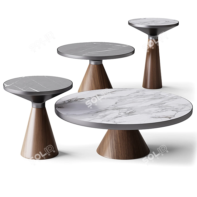 Elegant Luxe Coffee Table 3D model image 1