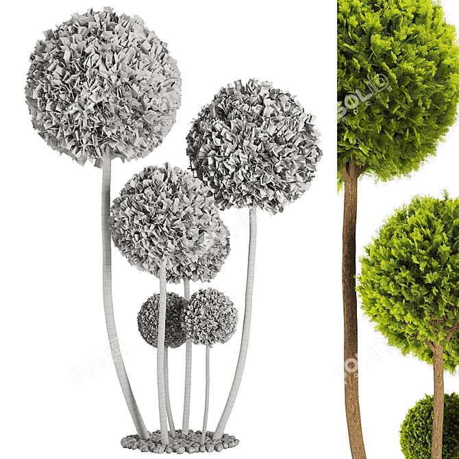 Elegant Cypress Pom Pom Topiary 3D model image 5