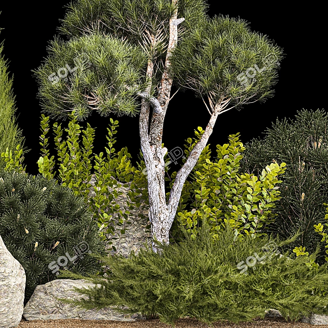 Alpine Garden Plant Collection 3D model image 3