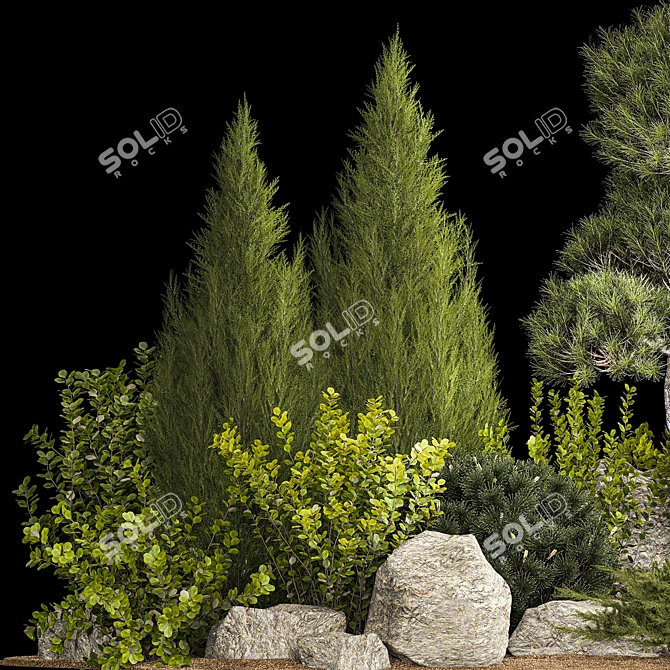 Alpine Garden Plant Collection 3D model image 4