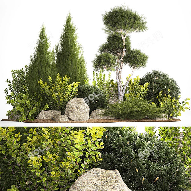 Alpine Garden Plant Collection 3D model image 6