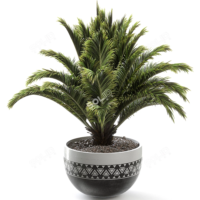 Russian Sago Palm Render Exquisite 3D model image 1