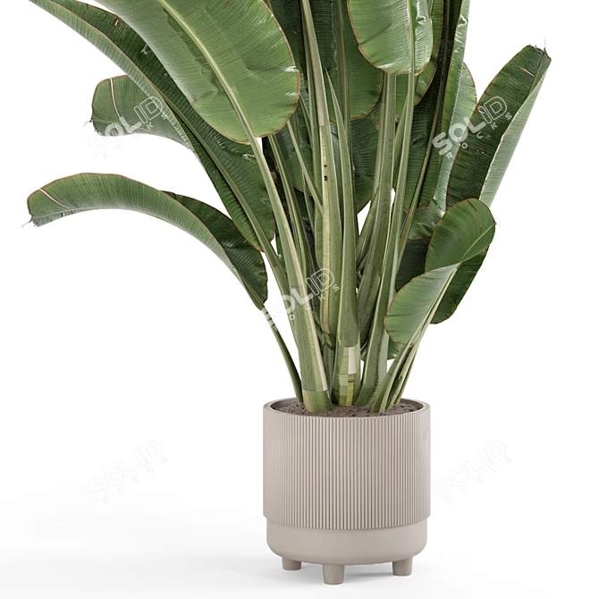 Rusty Concrete Pot Indoor Plants 3D model image 3