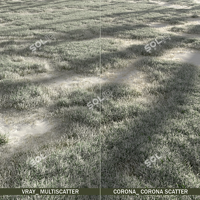 Winter Grass Pack: 3D Scatters 3D model image 2