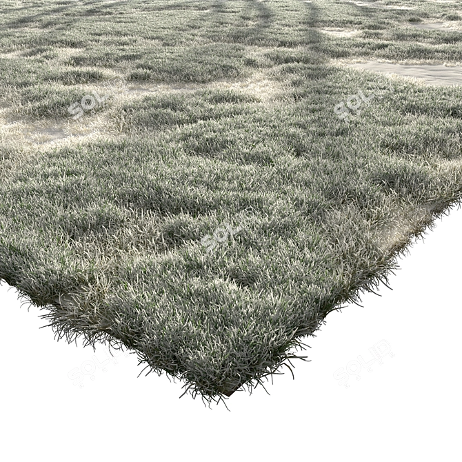 Winter Grass Pack: 3D Scatters 3D model image 4