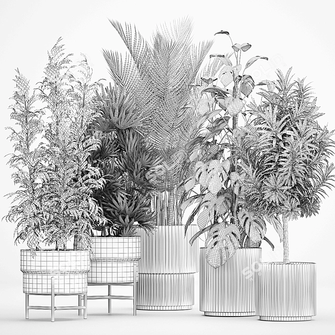 Tropical Plants Collection in Concrete Pots 3D model image 6