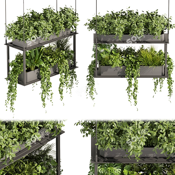 Premium Hanging Plant Collection - HD Quality 3D model image 1