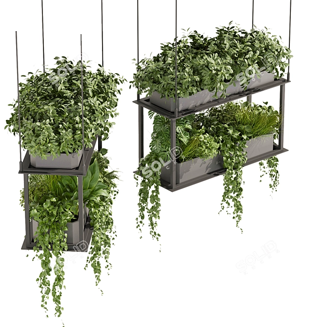 Premium Hanging Plant Collection - HD Quality 3D model image 2