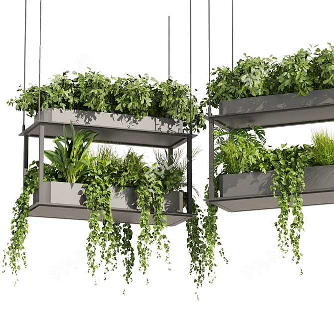 Premium Hanging Plant Collection - HD Quality 3D model image 4