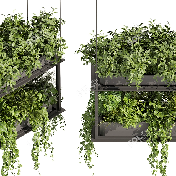 Premium Hanging Plant Collection - HD Quality 3D model image 5