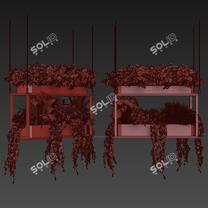 Premium Hanging Plant Collection - HD Quality 3D model image 6