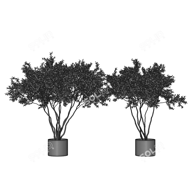  Stylish Indoor Plant Collection 3D model image 4