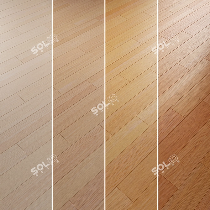 Oak Parquet Flooring Collection 3D model image 4