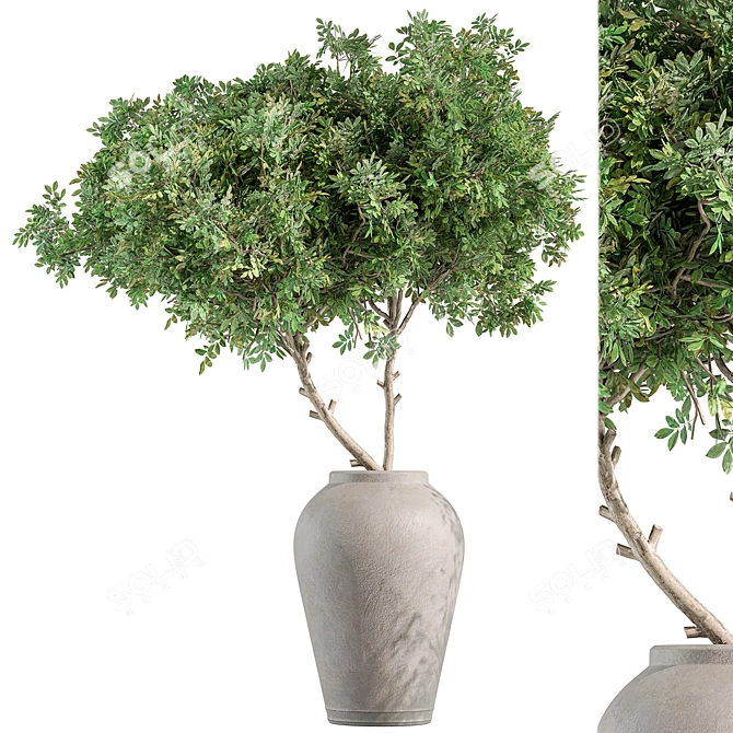 Indoor Oasis: Tree and Bush 3D model image 1