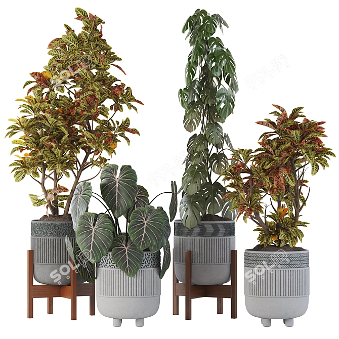 Tropical Foliage Plant Collection 05 3D model image 1