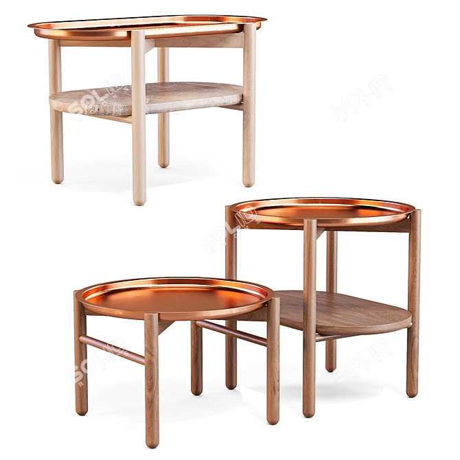 Hirundo Copper Accent Side Tables 3D model image 1