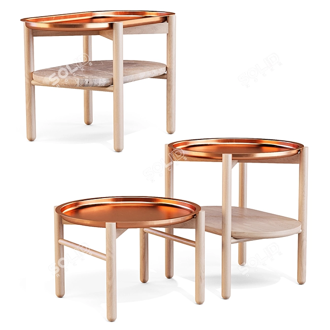 Hirundo Copper Accent Side Tables 3D model image 2