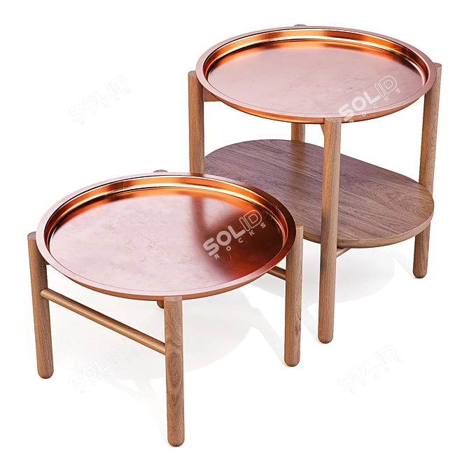 Hirundo Copper Accent Side Tables 3D model image 13