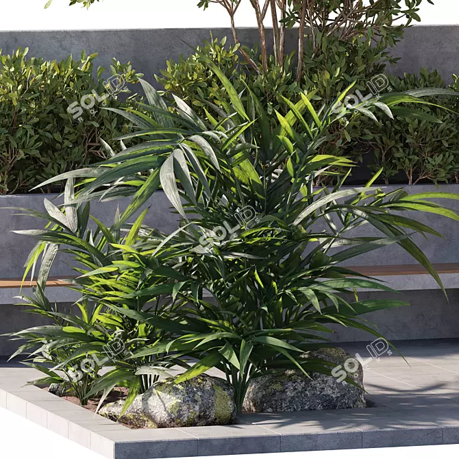 Outdoor Plant v01 Model Collection 3D model image 2