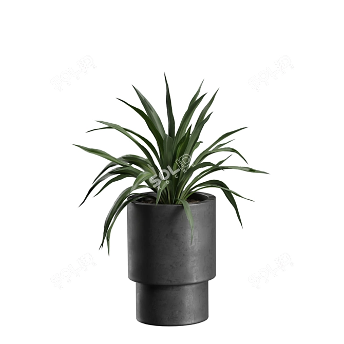 Exotic Indoor Plants Pack 43 3D model image 7