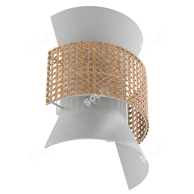  Rattan Accent Wall Sconce 3D model image 5