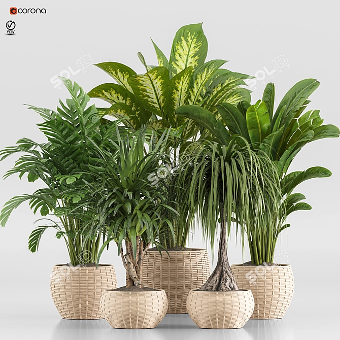 TurboSmooth Wicker Indoor Plant Set 3D model image 1