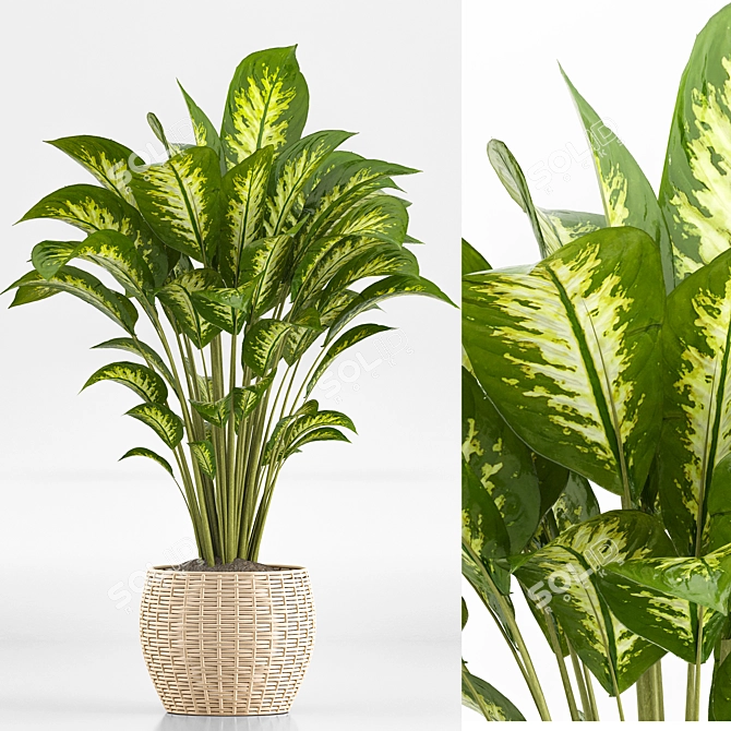 TurboSmooth Wicker Indoor Plant Set 3D model image 2