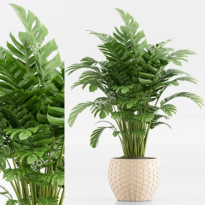 TurboSmooth Wicker Indoor Plant Set 3D model image 6