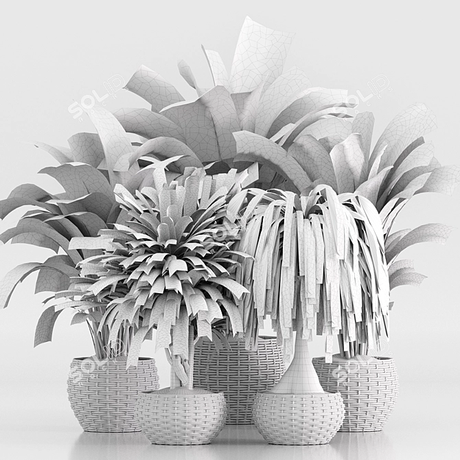 TurboSmooth Wicker Indoor Plant Set 3D model image 7