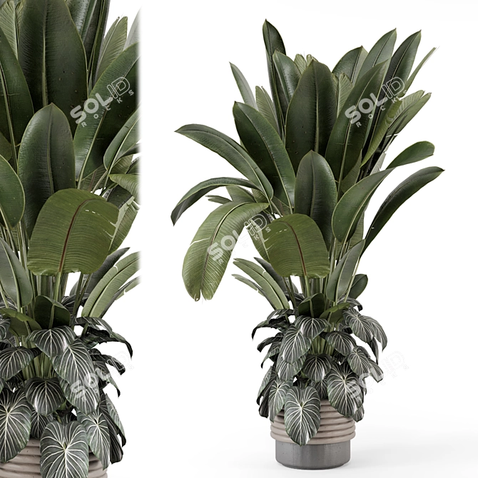 Rusty Concrete Pot Indoor Plants 3D model image 1