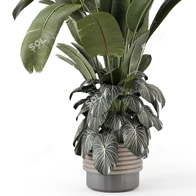 Rusty Concrete Pot Indoor Plants 3D model image 4