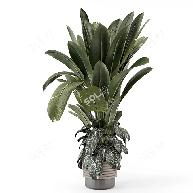 Rusty Concrete Pot Indoor Plants 3D model image 5