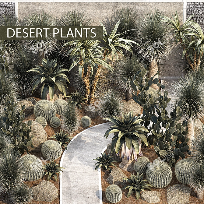 Desert Oasis Plant Collection 3D model image 1