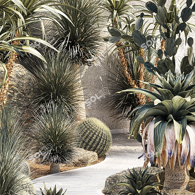 Desert Oasis Plant Collection 3D model image 5