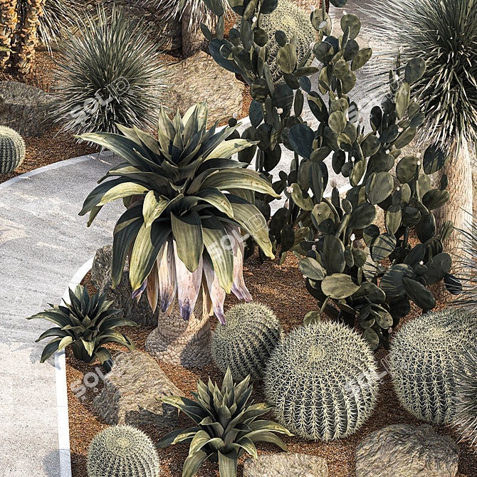 Desert Oasis Plant Collection 3D model image 6