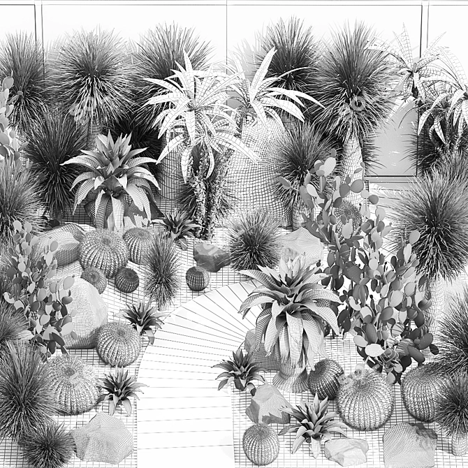 Desert Oasis Plant Collection 3D model image 7