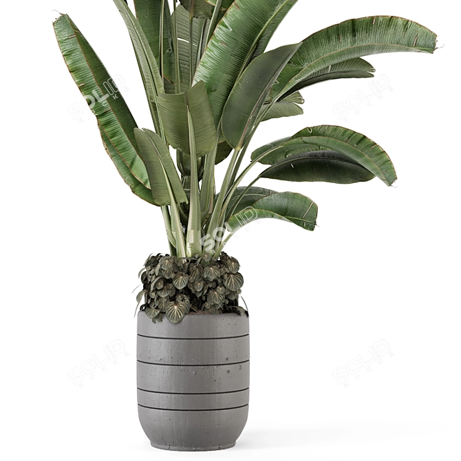 Rusty Concrete Pot Indoor Plants 3D model image 4