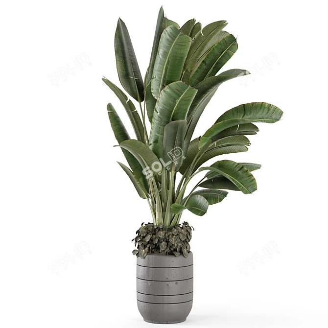 Rusty Concrete Pot Indoor Plants 3D model image 5