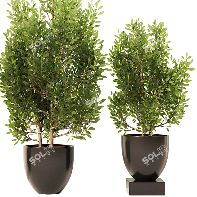 Spanish Stopper Shrub Set 3D 3D model image 3