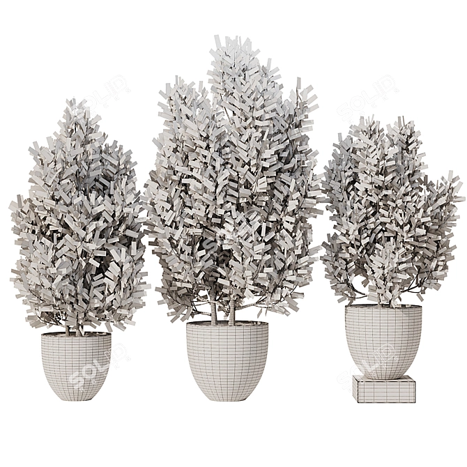 Spanish Stopper Shrub Set 3D 3D model image 5