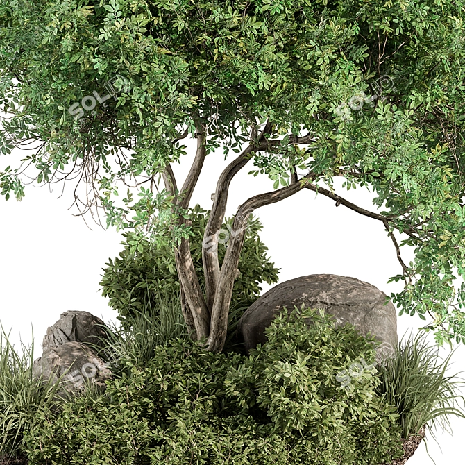 Outdoor Garden Plants 516 3D model image 3