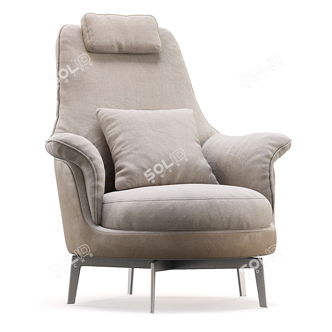 Modern Flexform Guscioalto Light Fixture 3D model image 3