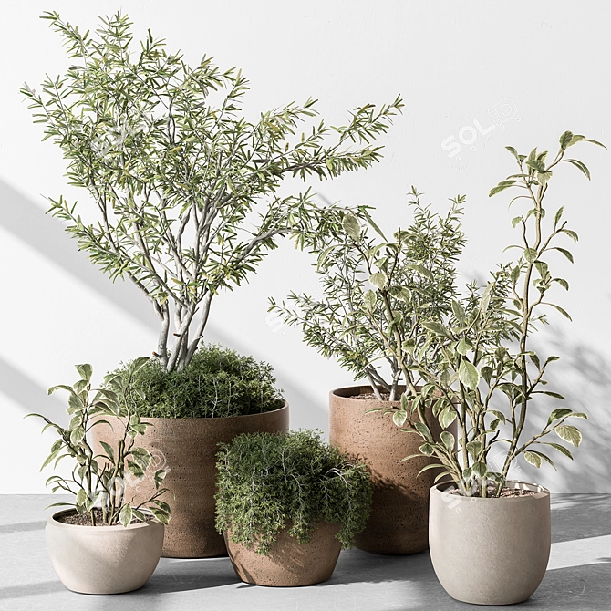 Indoor Greenery Collection: Tree & Bush 3D model image 1