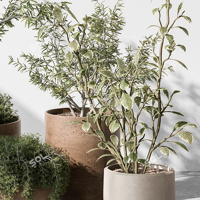 Indoor Greenery Collection: Tree & Bush 3D model image 3