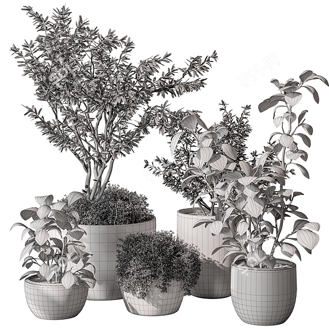 Indoor Greenery Collection: Tree & Bush 3D model image 4