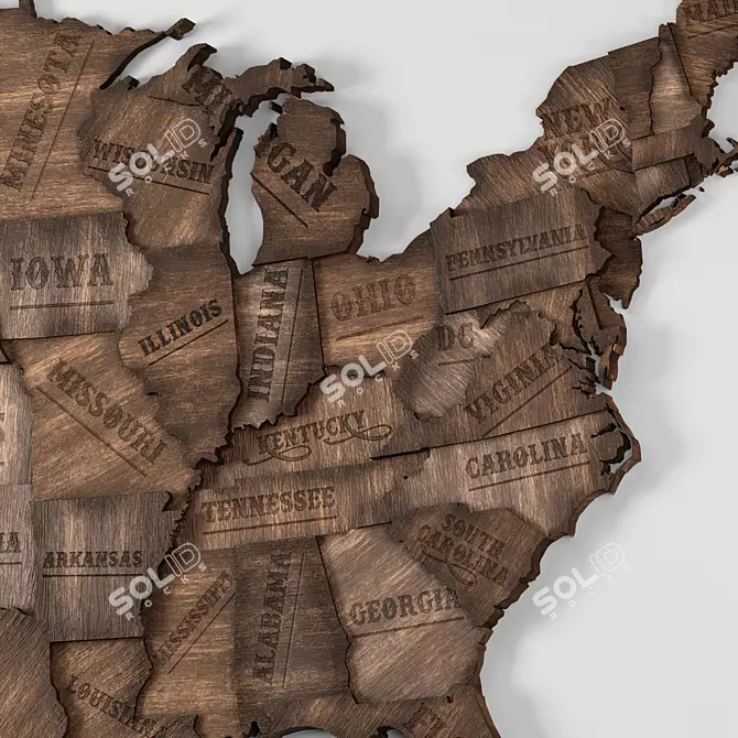 Vintage Wooden USA Wall Map 3D model image 3