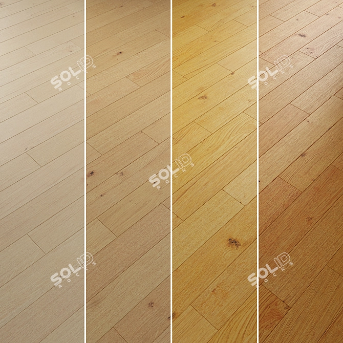 Oak Parquet Flooring Collection 3D model image 4