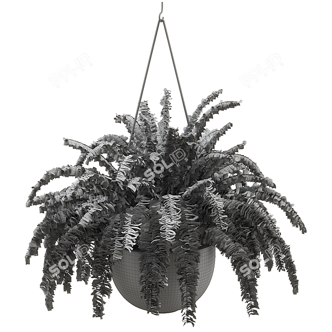 Lush Boston Fern Plant 3D model image 2